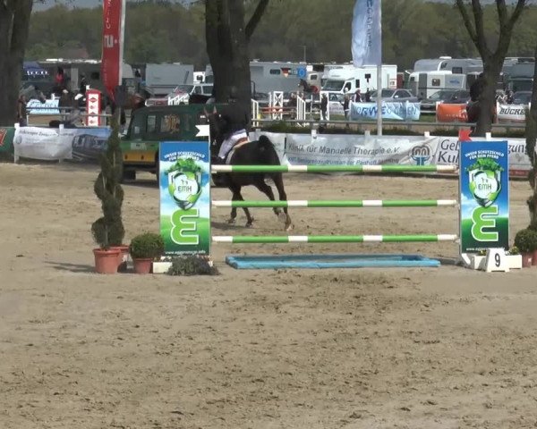 Lenklarer Reitertage 2014
