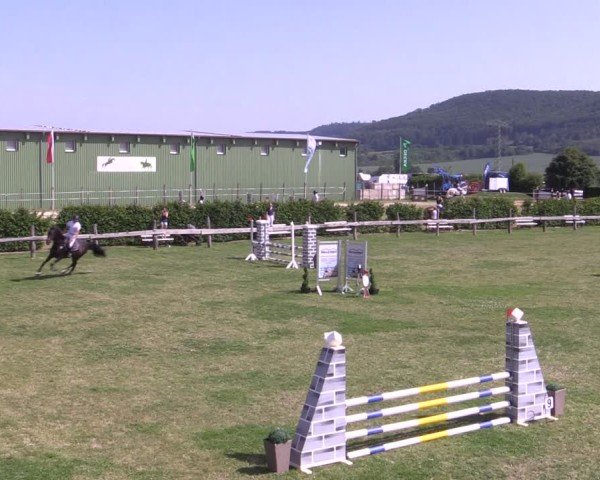 Reitturnier Wingerode 2025