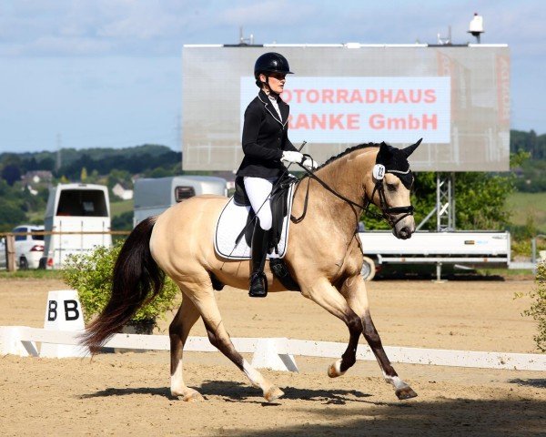 horse Noble Passion AD (German Riding Pony, 2020, from Notting Hill 2)