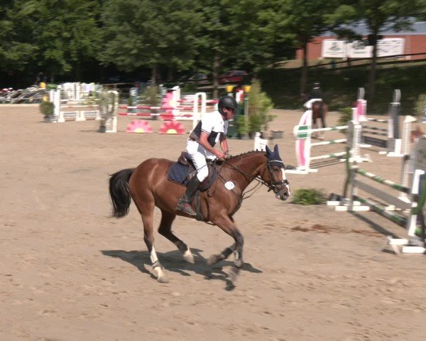 Reitturnier Letmathe 2025