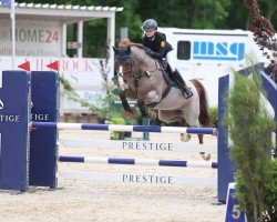 jumper Del Gardo (German Riding Pony, 2017, from Del Piero 25)