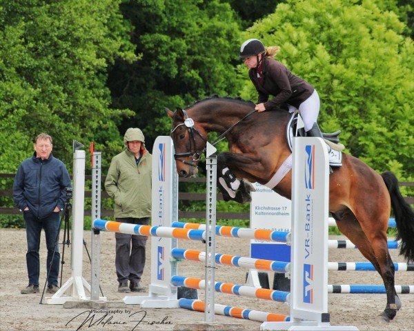 jumper Coupe Deluxe (German Sport Horse, 2019, from Coupe Gold)