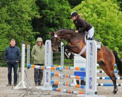 jumper Coupe Deluxe (German Sport Horse, 2019, from Coupe Gold)