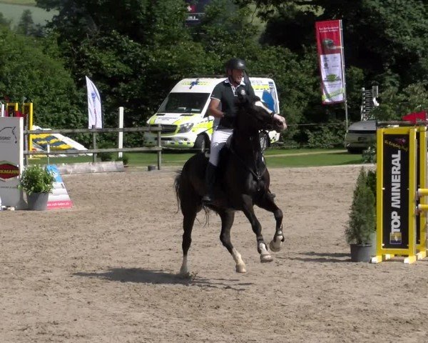 Reitturnier Ruswil 2025