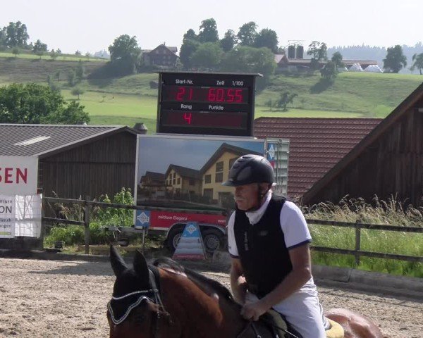 Reitturnier Ruswil 2025