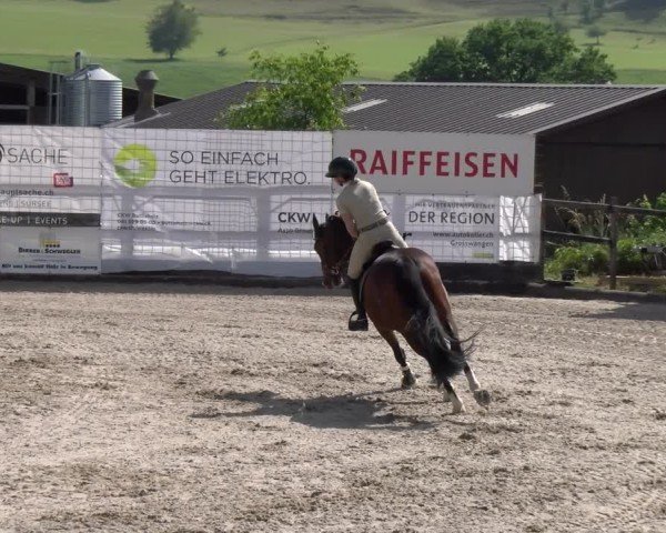 Reitturnier Ruswil 2025