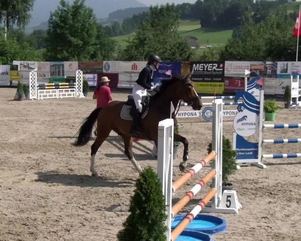 Reitturnier Ruswil 2025