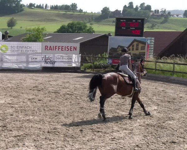 Reitturnier Ruswil 2025