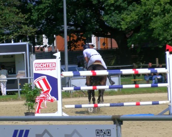 Reitturnier Coesfeld/Lette 2025