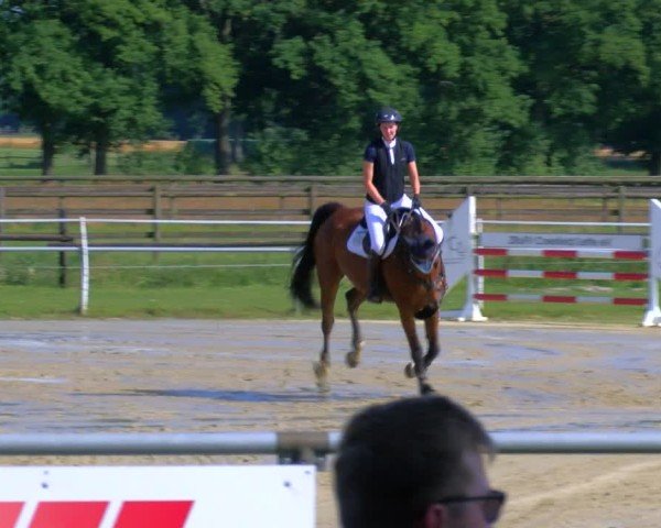 Reitturnier Coesfeld/Lette 2025