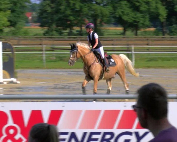 Reitturnier Coesfeld/Lette 2025