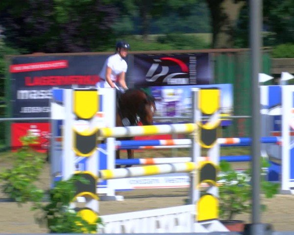 Reitturnier Coesfeld/Lette 2025