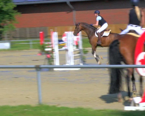 Reitturnier Coesfeld/Lette 2025