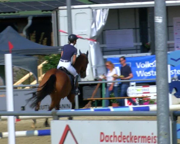 Reitturnier Coesfeld/Lette 2025