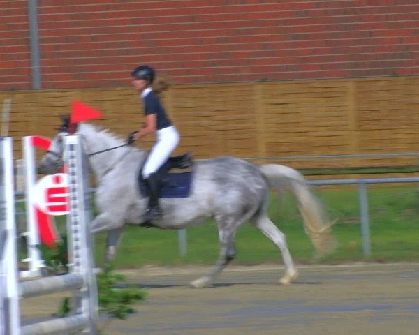 Reitturnier Coesfeld/Lette 2025
