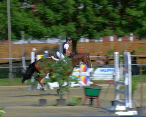 Reitturnier Coesfeld/Lette 2025