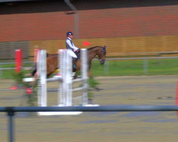 Reitturnier Coesfeld/Lette 2025