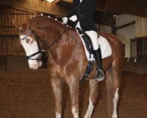 horse Picasso 682 (Rhinelander, 1997, from Pit I)