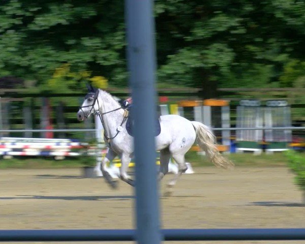 Reitturnier Coesfeld/Lette 2025
