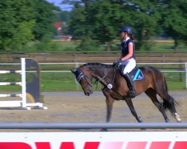 Reitturnier Coesfeld/Lette 2025