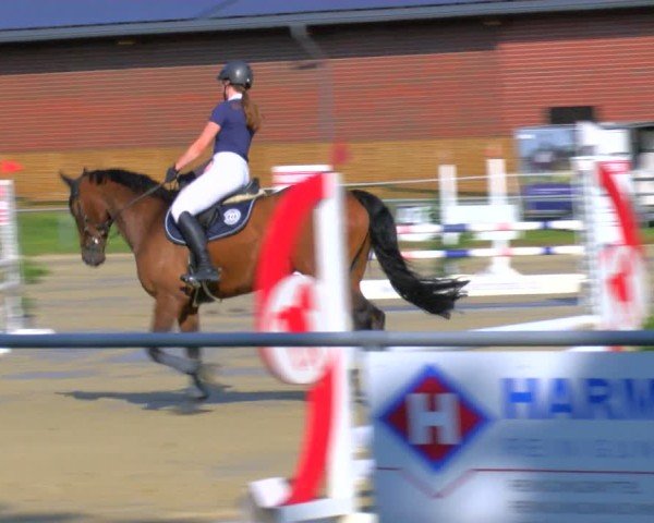 Reitturnier Coesfeld/Lette 2025