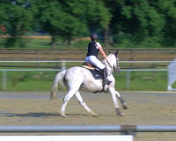 Reitturnier Coesfeld/Lette 2025