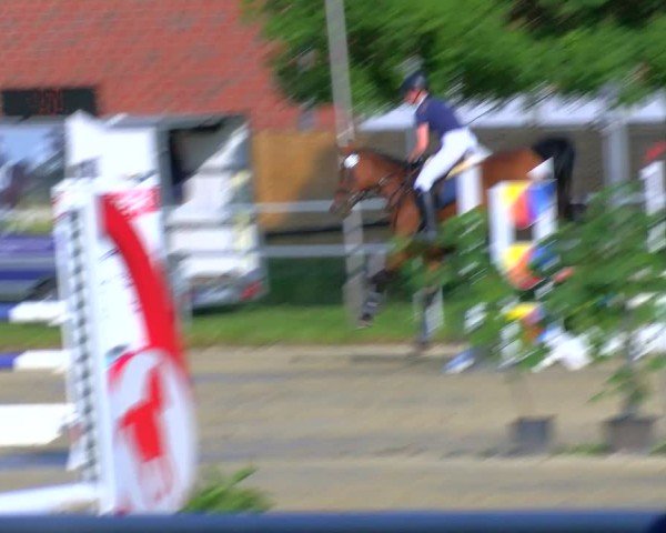 Reitturnier Coesfeld/Lette 2025