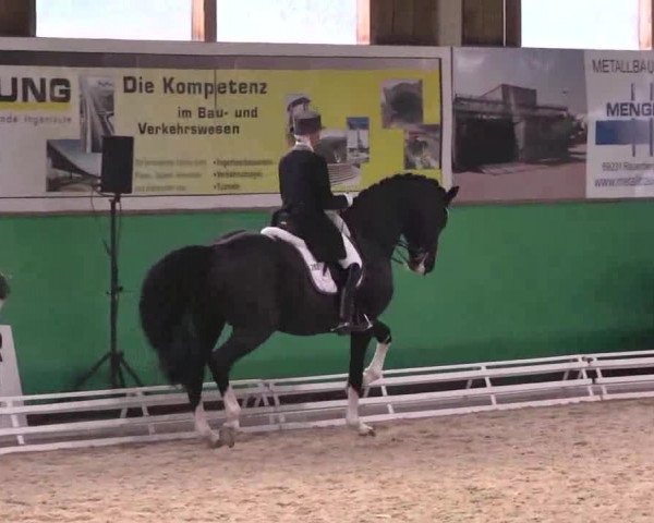 Walldorf 2014