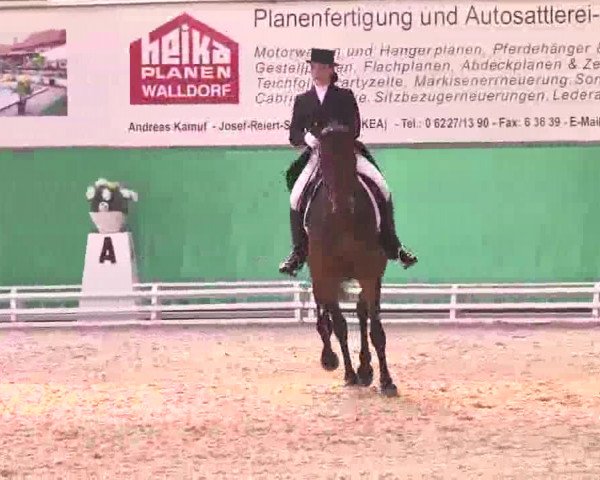 Walldorf 2014
