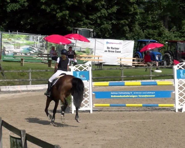 Reitturnier Ruswil 2025