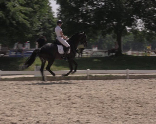 Reitturnier Coesfeld/Lette 2025