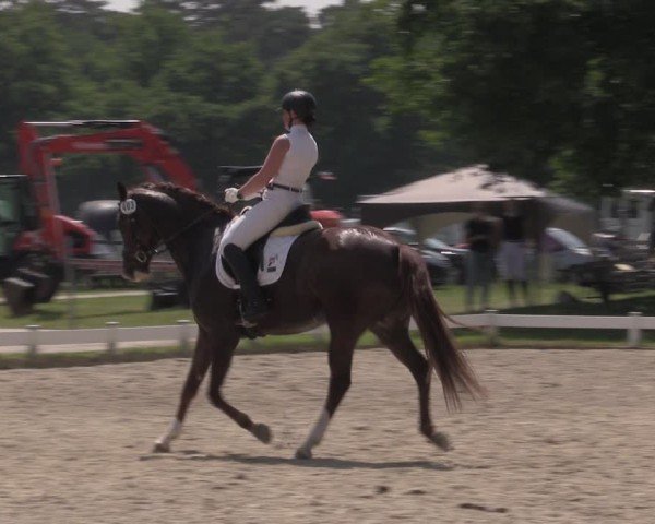 Reitturnier Coesfeld/Lette 2025