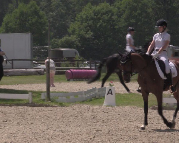 Reitturnier Coesfeld/Lette 2025