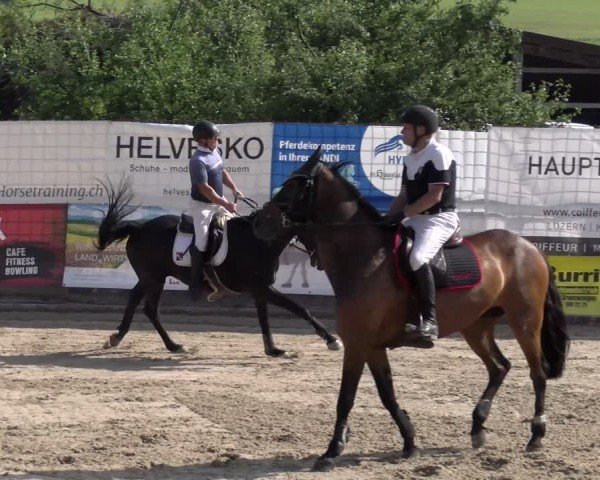 Reitturnier Ruswil 2025