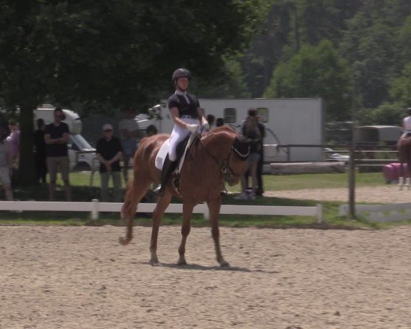 Reitturnier Coesfeld/Lette 2025