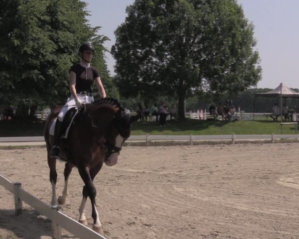 Reitturnier Coesfeld/Lette 2025