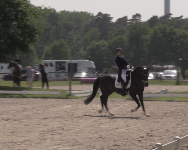 Reitturnier Coesfeld/Lette 2025