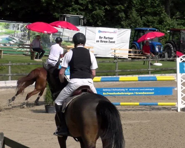 Reitturnier Ruswil 2025