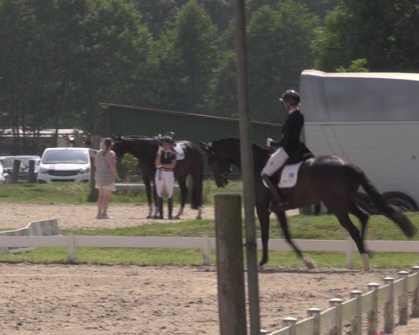Reitturnier Coesfeld/Lette 2025