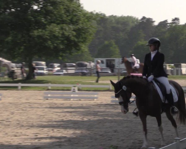 Reitturnier Coesfeld/Lette 2025