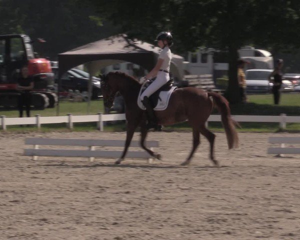 Reitturnier Coesfeld/Lette 2025