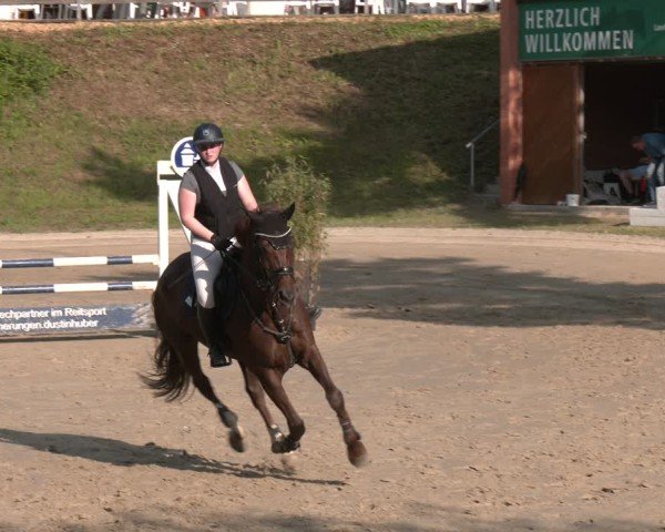 Reitturnier Letmathe 2025