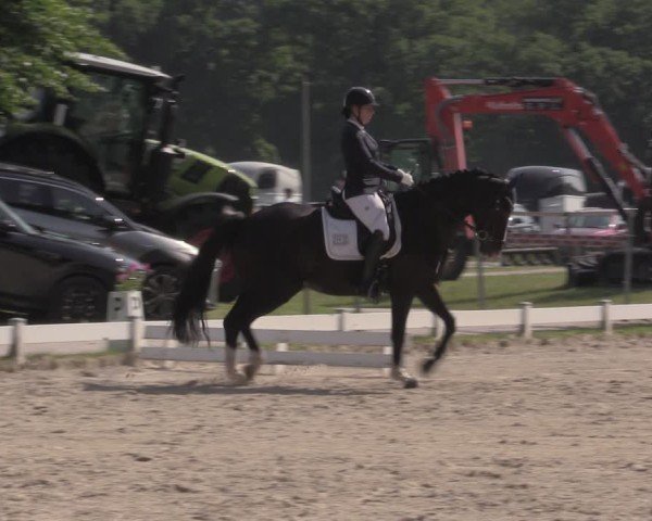 Reitturnier Coesfeld/Lette 2025