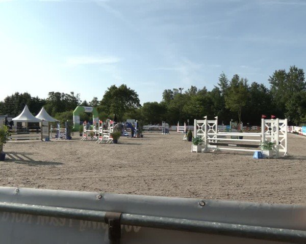 Reitturnier Großenwiehe 2025
