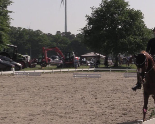 Reitturnier Coesfeld/Lette 2025