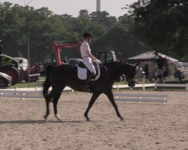 Reitturnier Coesfeld/Lette 2025