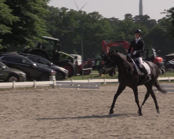 Reitturnier Coesfeld/Lette 2025