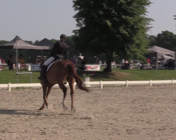Reitturnier Coesfeld/Lette 2025