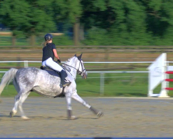 Reitturnier Coesfeld/Lette 2025