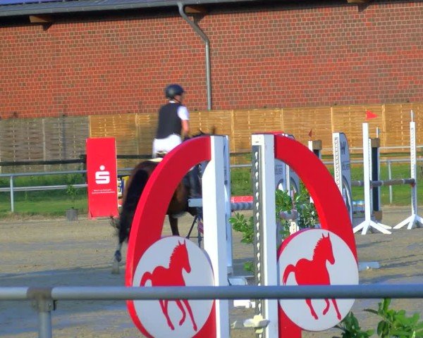 Reitturnier Coesfeld/Lette 2025